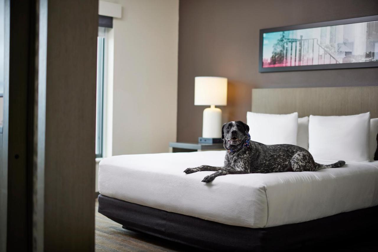 Hyatt House Denver/Downtown מראה חיצוני תמונה