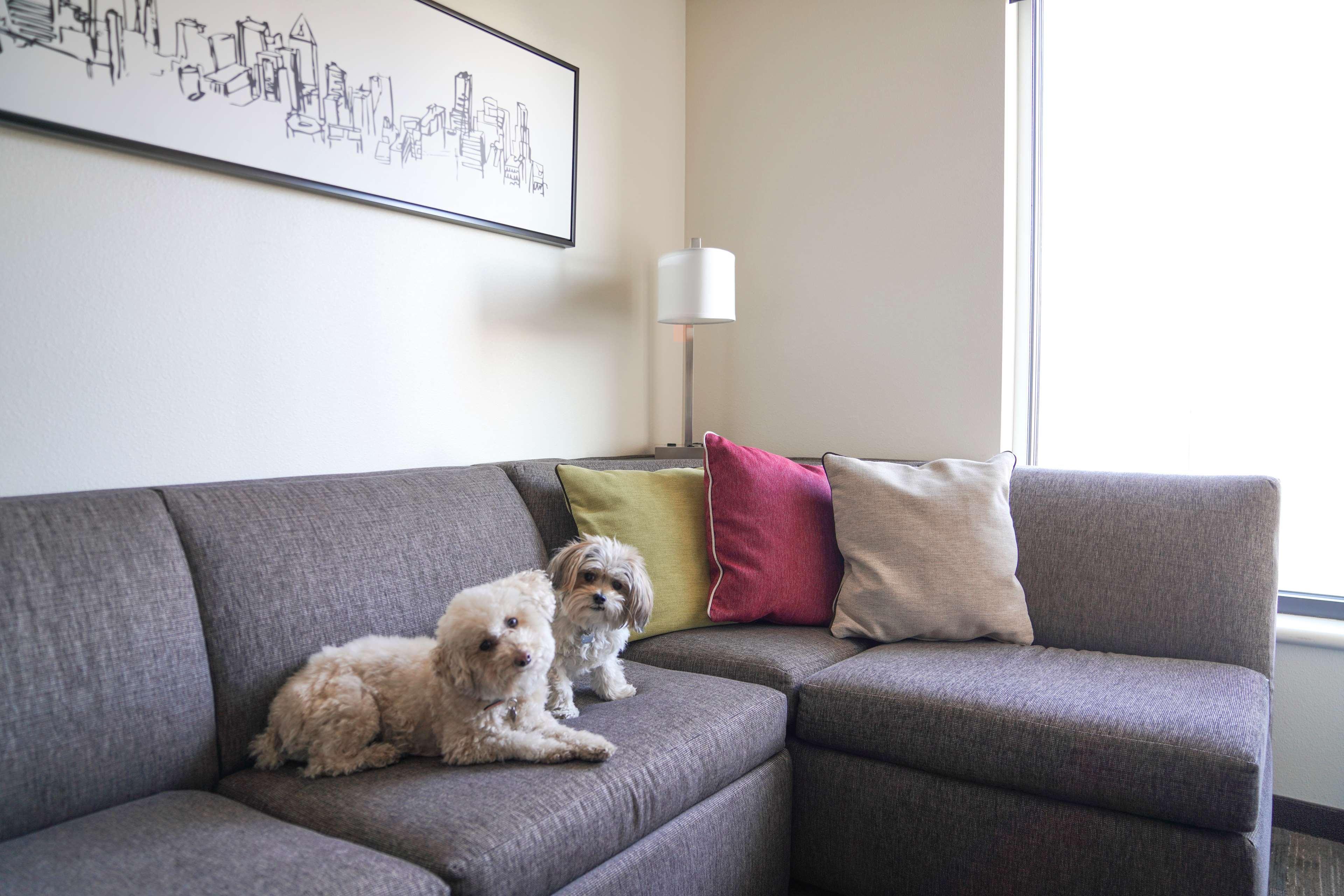 Hyatt House Denver/Downtown מראה חיצוני תמונה